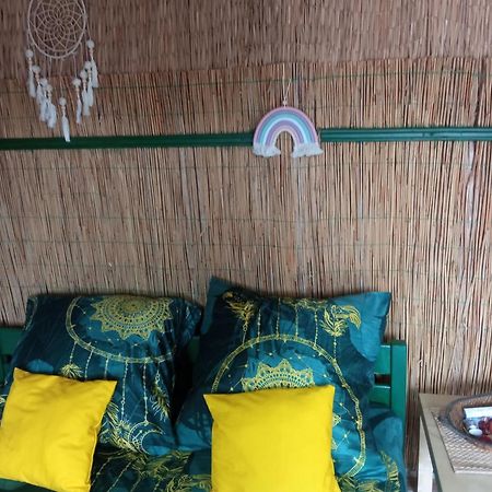 Casa Delta 106 Hotell Sfântu Gheorghe Rom bilde