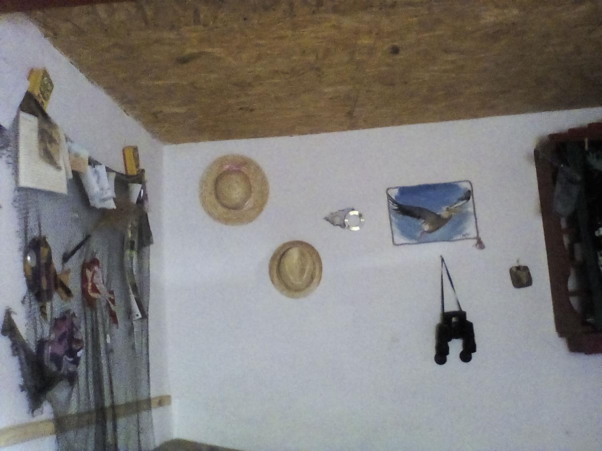 Casa Delta 106 Hotell Sfântu Gheorghe Eksteriør bilde
